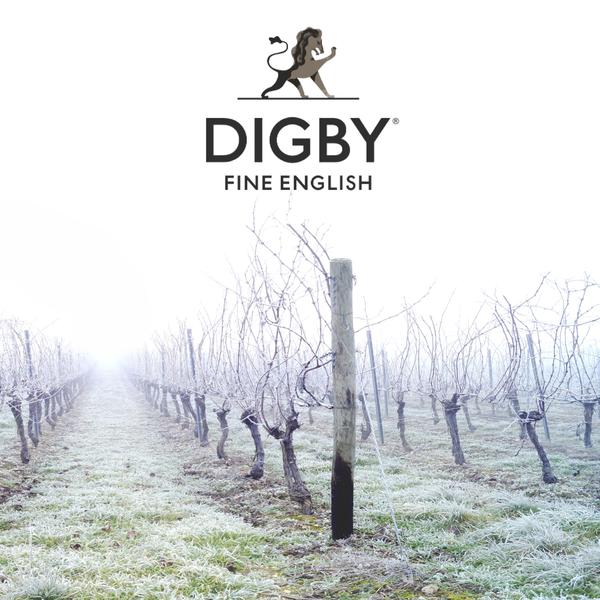 Welcome to Digby Fine English