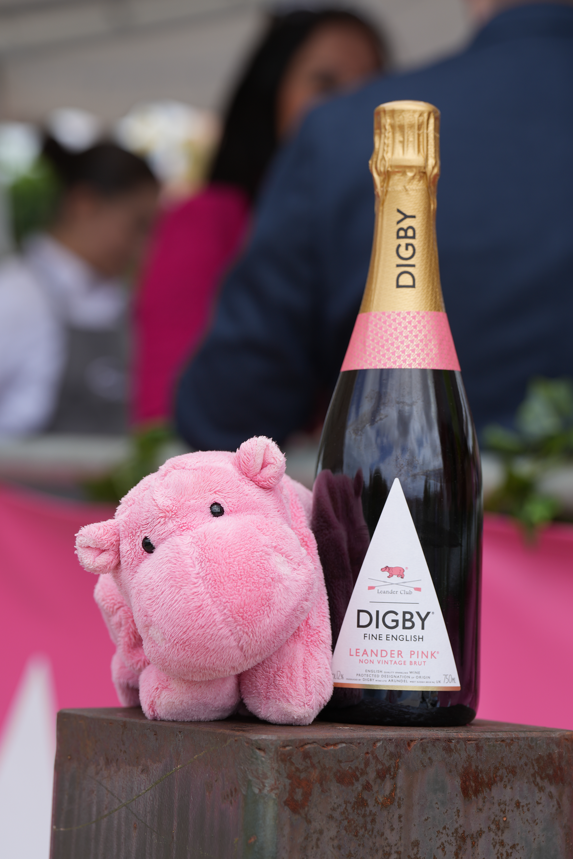 Digby's Leander Pink with Leander Club's pink hippo mascot.