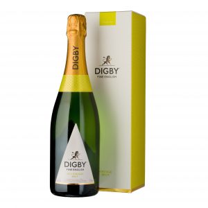 Digby 2013 Vintage Reserve Brut Sparkling Wine