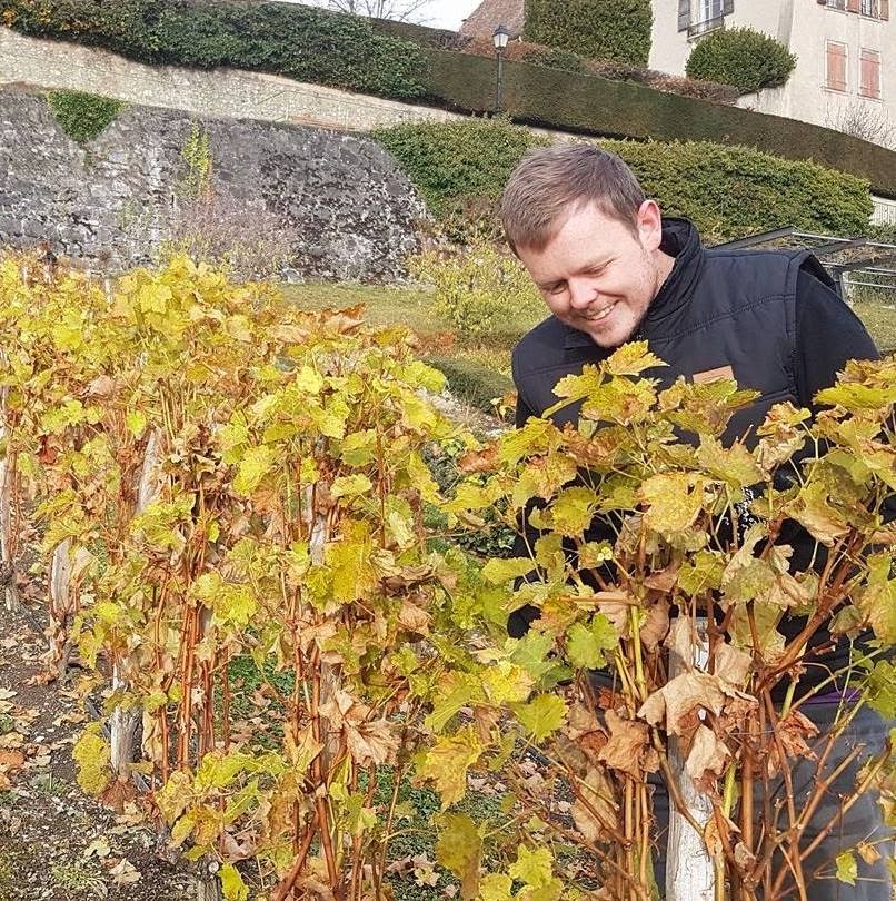 Conor in Swiss Vineyard