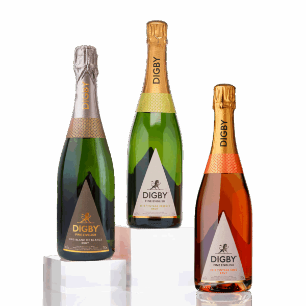 The Digby Vintage Trio