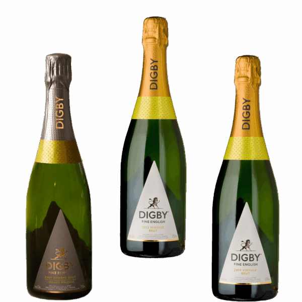 The Vertical Vintage Trio