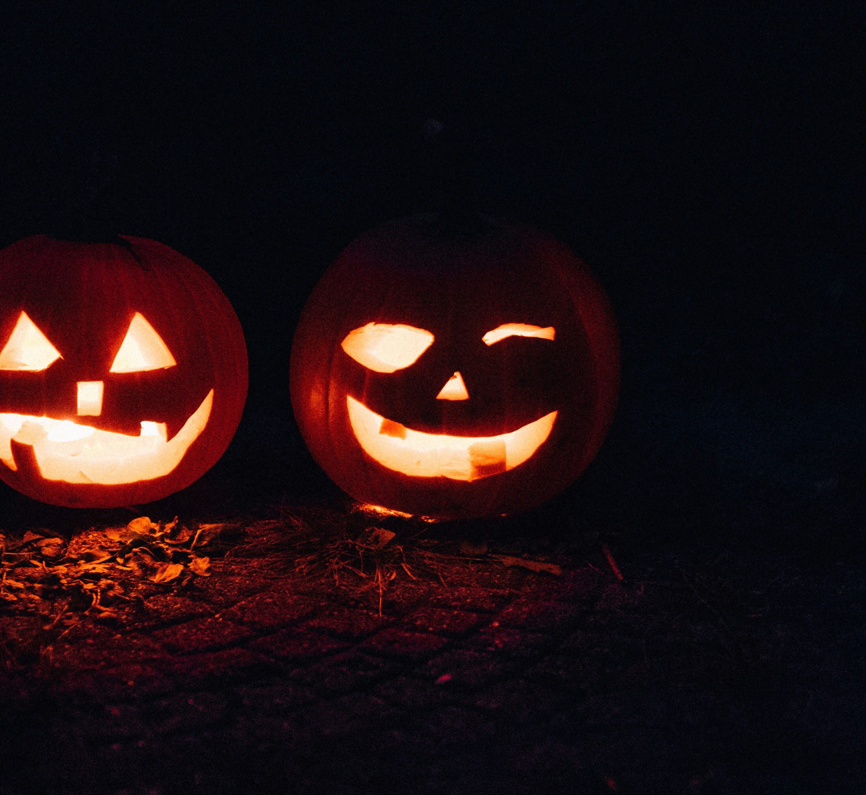 Halloween pumpkins to promote Digby's Halloween wine night, October 31st